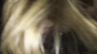 Sweet young blonde caught with a big black cock in her mouth